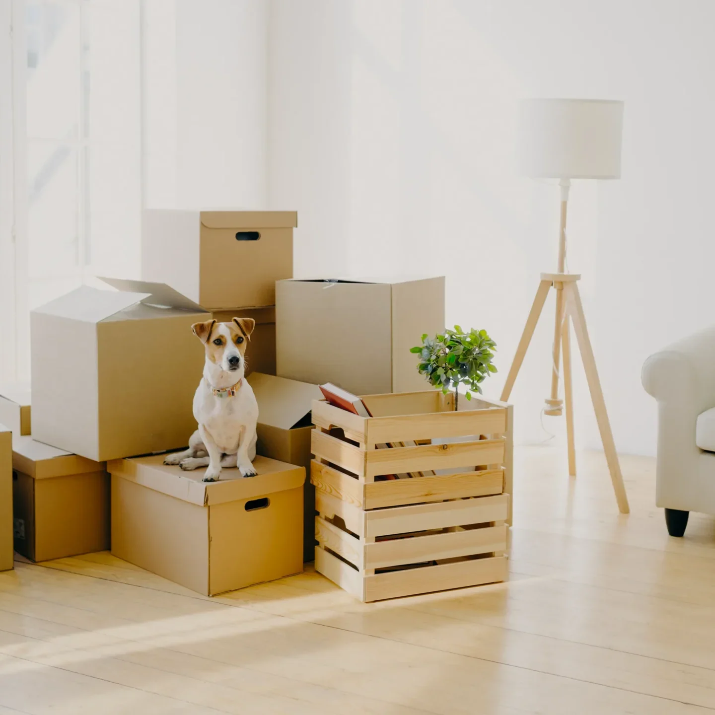Renters Insurance Questions Renters Insurance Questions